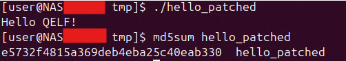 decryption-of-qnap-encrypted-pre-auth-cgis-qelf_pic10