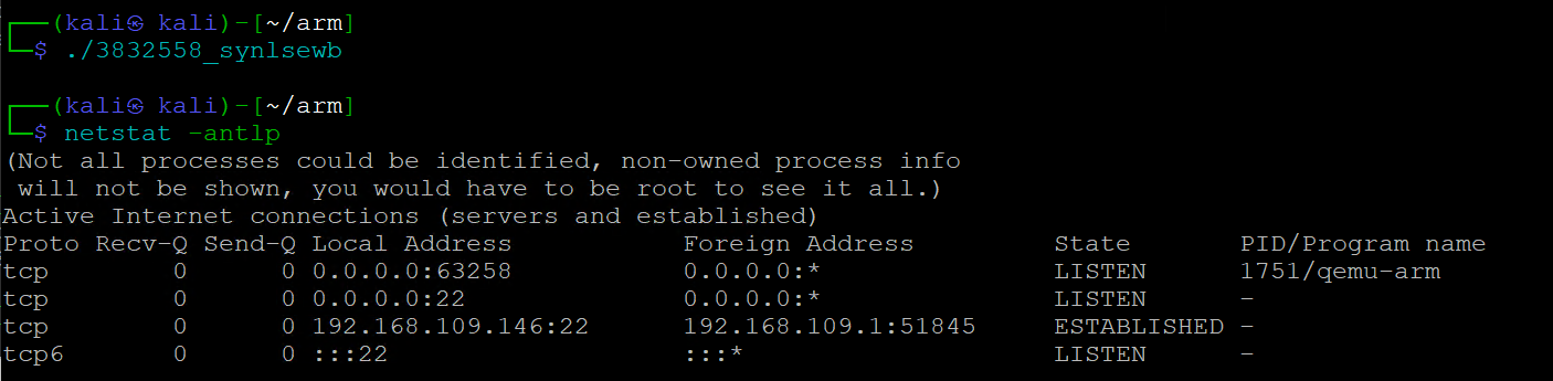 syn-sample-arm-linux-analysis_10