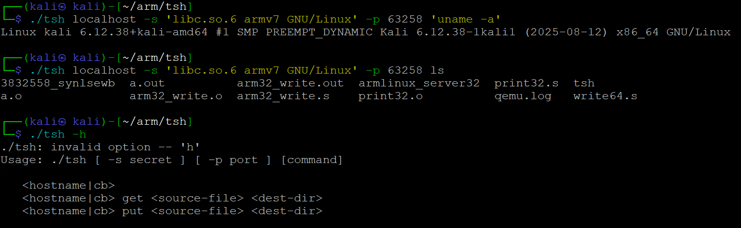 syn-sample-arm-linux-analysis_11