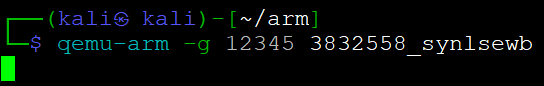 syn-sample-arm-linux-analysis_12