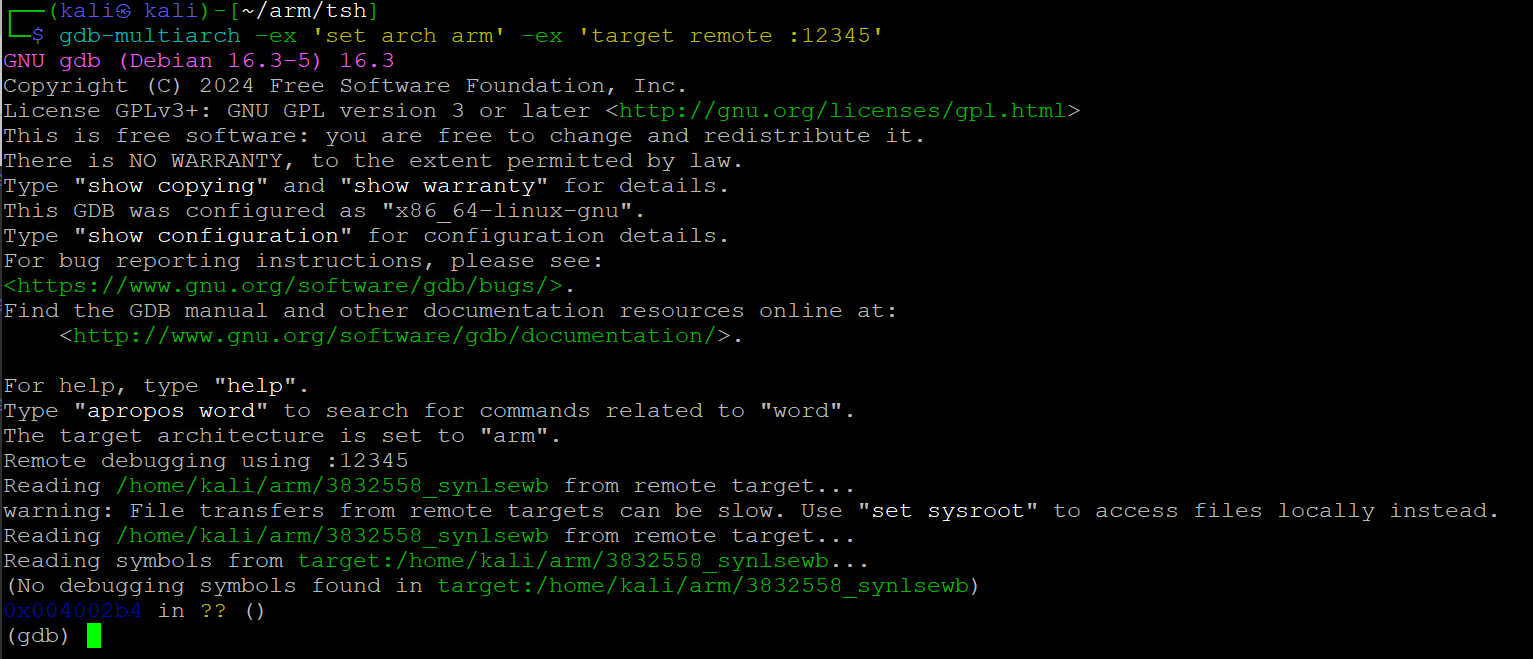 syn-sample-arm-linux-analysis_13